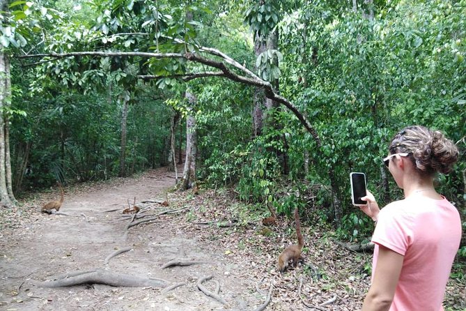 Yaxha VIP All-Inclusive Private Tour from Flores Guatemala - Entering Yaxha National Park at 9:15 a.m.